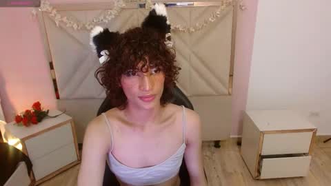 chipi_tay online show from 20, 11, 2025