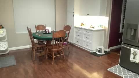 Chloe Babe online show from 14, 3, 2026