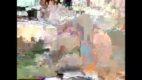 JANE online show from 18, 1, 2025