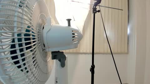 Chris Evans online show from 2, 2, 2026