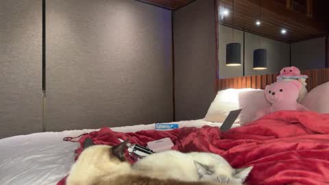 Christina Sage online show from 18, 9, 2025