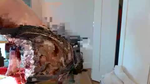 christophe_throbin online show from 31, 1, 2026