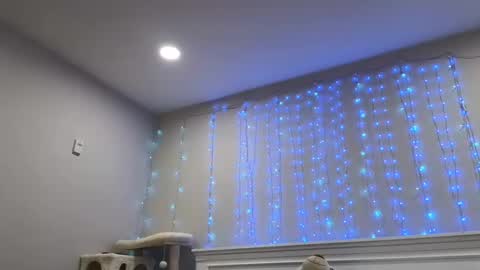 Snapshot of christy_love chatting on 29, 12, 2024 Christy Love online show from 29, 12, 2024