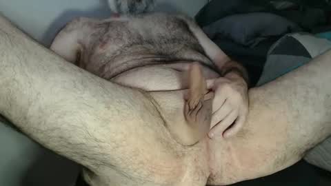 chubbybeargrrr online show from 14, 3, 2026