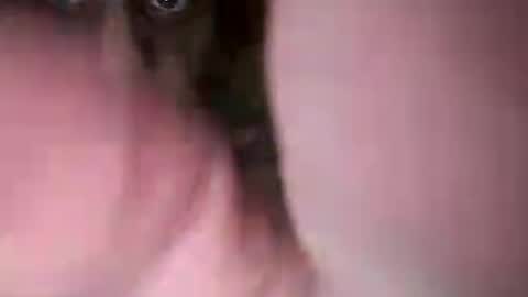 Snapshot of chuckied6969 chatting on 22, 7, 2026 chuckied6969 online show from 22, 7, 2026