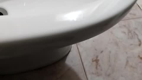 ciccilli online show from 8, 10, 2025