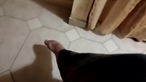 ciccilli online show from 2, 11, 2025