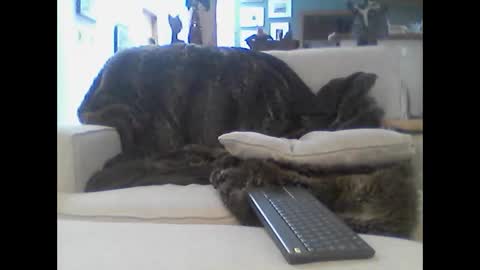 Snapshot of clitboy658752 chatting on 14, 1, 2026 clitboy658752 online show from 14, 1, 2026