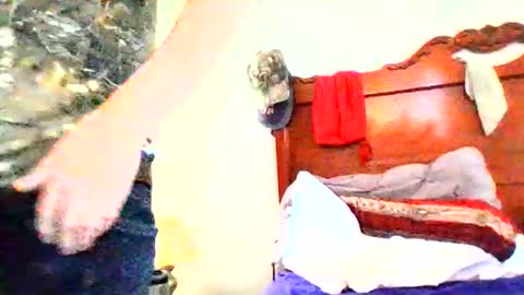 coby8869 online show from 5, 3, 2026