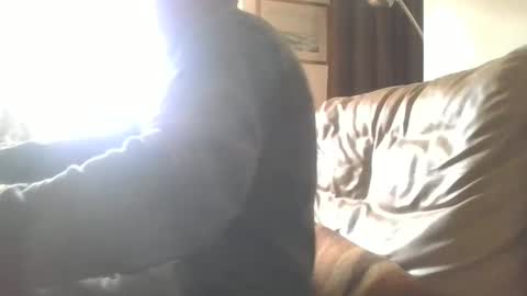 cock9635 online show from 28, 12, 2024