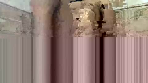 cockdoc4444 online show from 15, 10, 2025