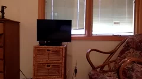 Code By Nova online show from 8, 11, 2025