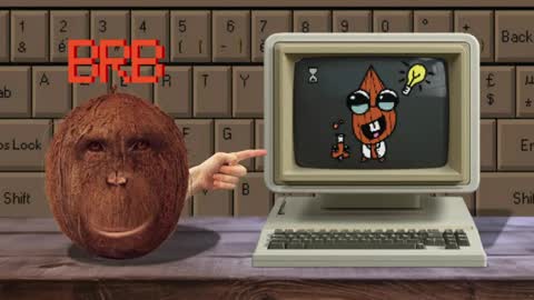 Cokia online show from 5, 4, 2026