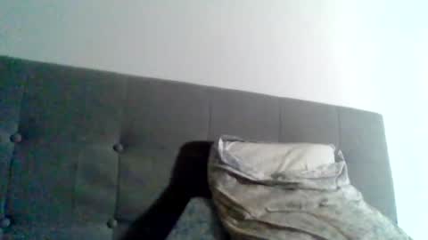 Snapshot of college_muscle chatting on 1, 1, 2025 foreverxshredded online show from 1, 1, 2025