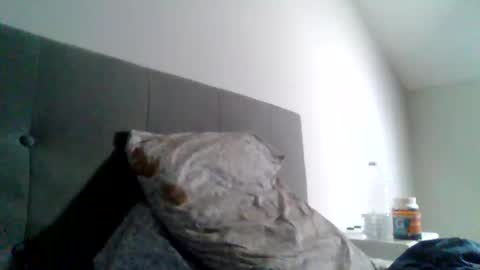 Snapshot of college_muscle chatting on 23, 1, 2025 foreverxshredded online show from 23, 1, 2025