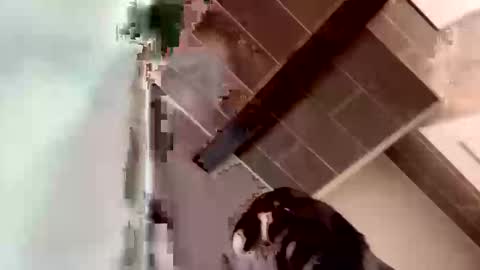 concernsburn online show from 7, 1, 2026