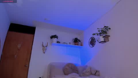 connie    online show from 20, 1, 2025