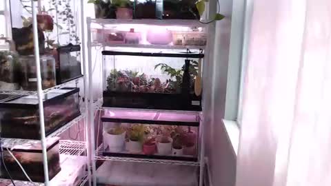 ANR Mommy online show from 14, 11, 2025