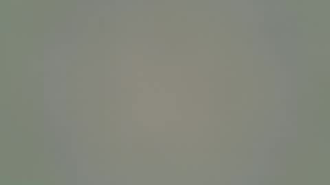 ANR Mommy online show from 1, 2, 2026