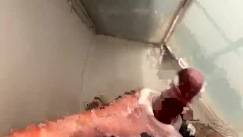 cookie_monster8593 online show from 20, 4, 2026