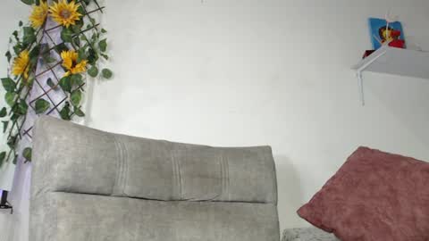 shiro online show from 10, 6, 2026