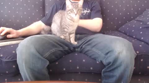 copper_crotch online show from 14, 2, 2026