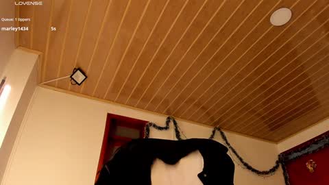 Snapshot of coquette_johnson chatting on 29, 12, 2024 Coquette Johnson online show from 29, 12, 2024