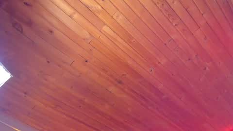 Coraline online show from 18, 1, 2025