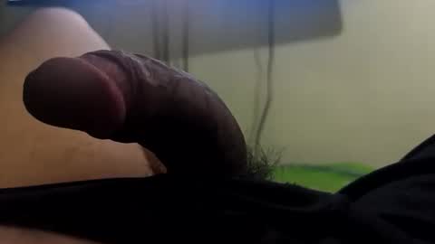 coste55 online show from 4, 4, 2026