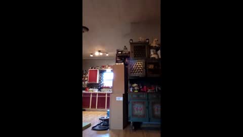 craig232301327629 online show from 9, 1, 2026