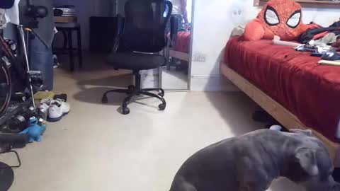 Snapshot of crazy4feetmanic chatting on 16, 4, 2026 drbucknaked online show from 16, 4, 2026