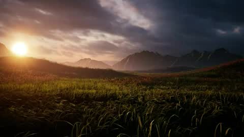 The hopeless romantic online show from 11, 10, 2025