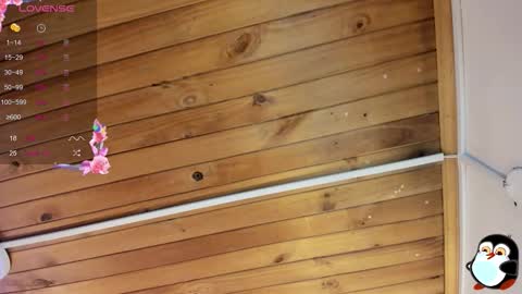 Cristal online show from 29, 10, 2025