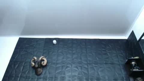 Snapshot of cristal_smith06 chatting on 13, 2, 2025 Hanna online show from 13, 2, 2025