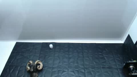 Snapshot of cristal_smith06 chatting on 27, 2, 2025 Hanna online show from 27, 2, 2025
