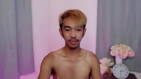 crocodale online show from 28, 11, 2025