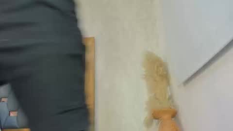 crystal_sm online show from 27, 2, 2026