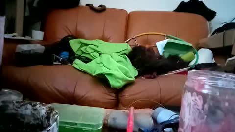 crystelweed online show from 9, 11, 2025