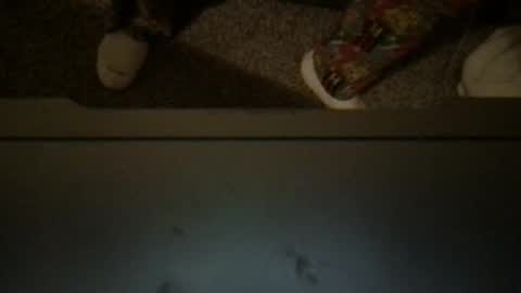 CuddleFuckXXX online show from 3, 4, 2026