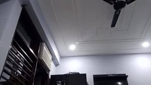 cuddlemuffins online show from 27, 2, 2026