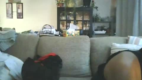 cumdumpslutfag online show from 11, 6, 2026