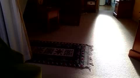 cumonherguys online show from 28, 10, 2025