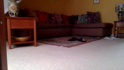 cumonherguys online show from 6, 11, 2025