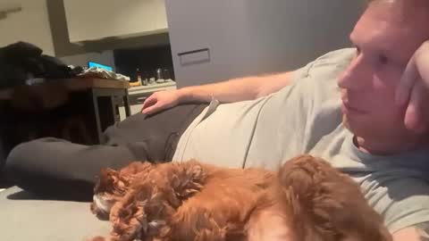curiousmike6 online show from 8, 6, 2026