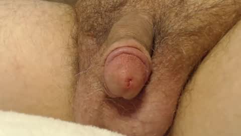 curve66 online show from 16, 10, 2025