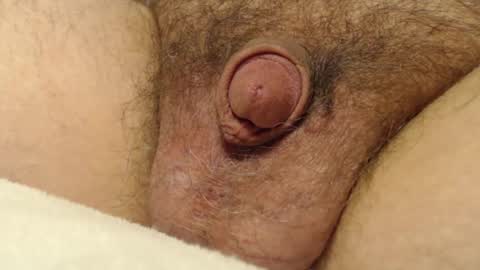 curve66 online show from 4, 12, 2025