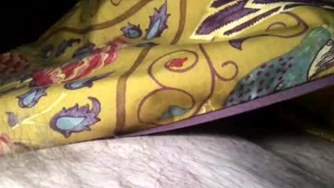 Steve online show from 10, 2, 2025