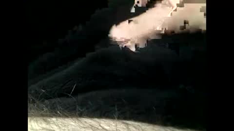 Steve online show from 11, 2, 2025