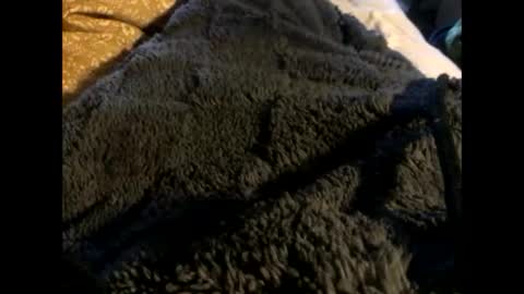 Steve online show from 2, 3, 2025