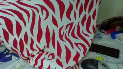 Snapshot of cute_sassy3 chatting on 20, 10, 2025 love online show from 20, 10, 2025